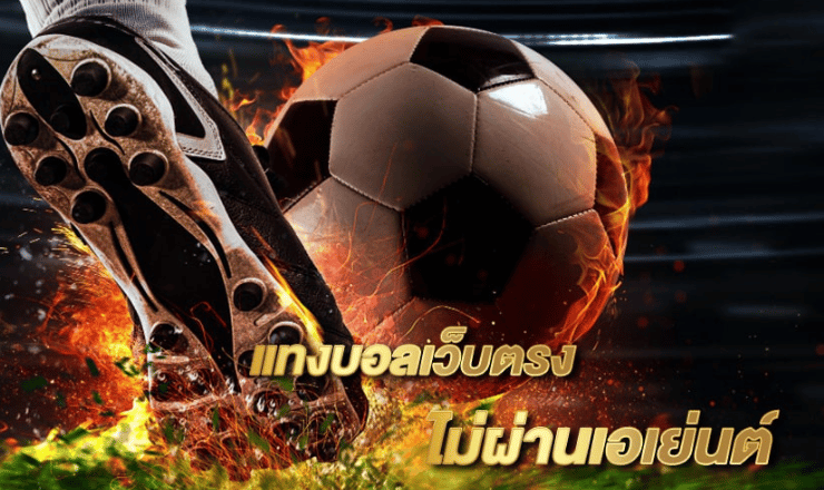 เว็บแทงบอลออนไลน์