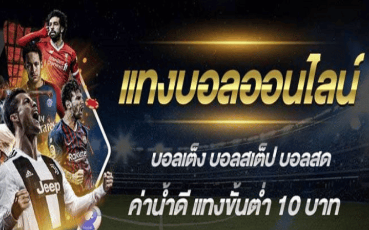 แทงบอลได้กำไรดี