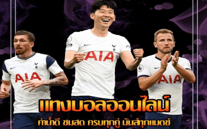 แทงบอลได้กำไรดี